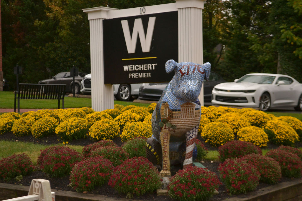 Autumn in Moorestown 2025