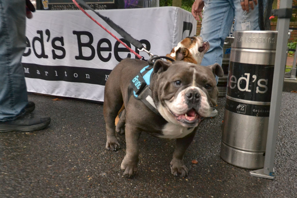 Autumn in Moorestown 2025