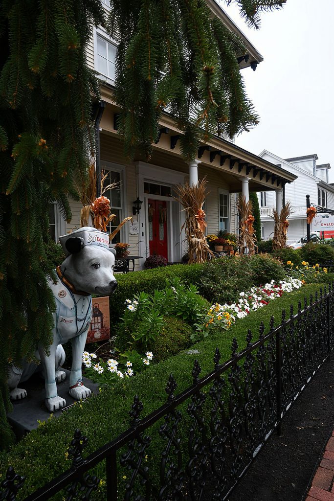 Autumn in Moorestown 2025